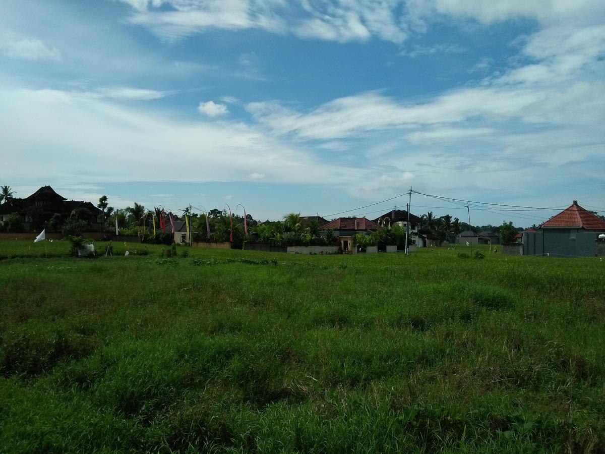 Rumah Rose Ubud Exterior foto